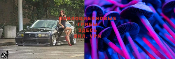 дмт Михайловск