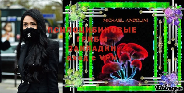 дмт Михайловск