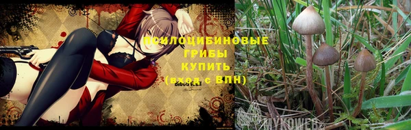 твердый Медвежьегорск