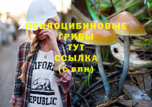 дмт Михайловск